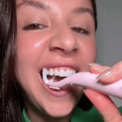 Electric Flosser Starter Kit
